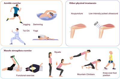 Physical therapy as a promising treatment for osteoarthritis: A narrative review